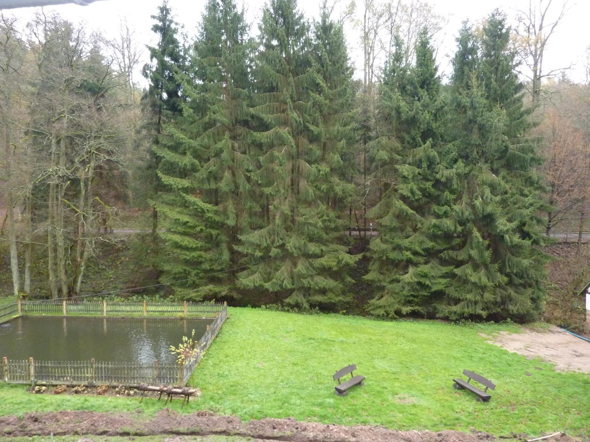 Hof Guttels Waldgasthof Ferienpension โรเทนบวร์ก อัน แดร์ ฟุลดา ห้อง รูปภาพ